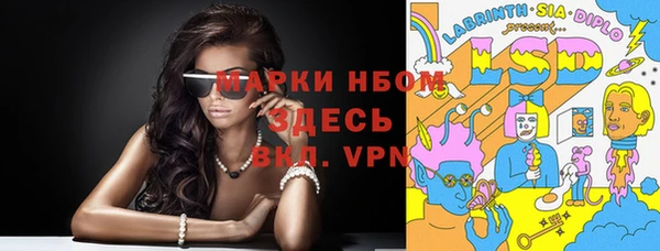 хмурый Алзамай